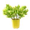 DecoreBugs Pair of Latex Artificial Plant Bunches Without Pot (Multicolour, Height 30 cms / 12 Inches) - Set of 2 view 3
