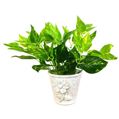 DecoreBugs Artificial Money Plant Bunch: Lifelike Greenery for Home Decor - Perfect for Living Room Ambiance,Kitchen,netural Look