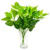 DecoreBugs Artificial Money Plant Bunch: Lifelike Greenery for Home Decor - Perfect for Living Room Ambiance,Kitchen,netural Look view 2