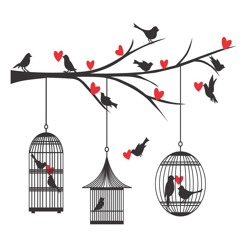 Sticker Hub Birds Cages Love Wall Sticker for Home Hall Office Decor (Vinyl, 85 X 121 cm, Multicolour) DKHMS0629