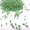 The Design Cart Grass Green Opaque Luster Round Rocailles Seed Beads for Jewellery Making, Embroidery, Beading, Art and Craft Supplies (11/0-2.0 mm) - 450 Grams view 1