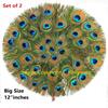 Rollyware Natural Peacock Feather More Pankh Fan Tails Original Full Length Laddu Gopal Handmade Morpankh Peacock Feather Dress, Pack of 2 view 2