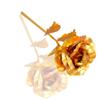 International Gift Golden Rose 25 cm with Teddy and Carry Bag (25 cm, Red) view 3