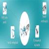 Urdhvamurti Egg Beater Butter Milk Maker Mixer Hand Blender for Churning (Multi-Color) view 4