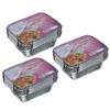 Freshee Pack of 3 x 10 Aluminium Silver Foil Container 250ml| 100% Recyclable Food Storage Disposable Containers with Lid For Kitchen | Bacteria Resistant view 1