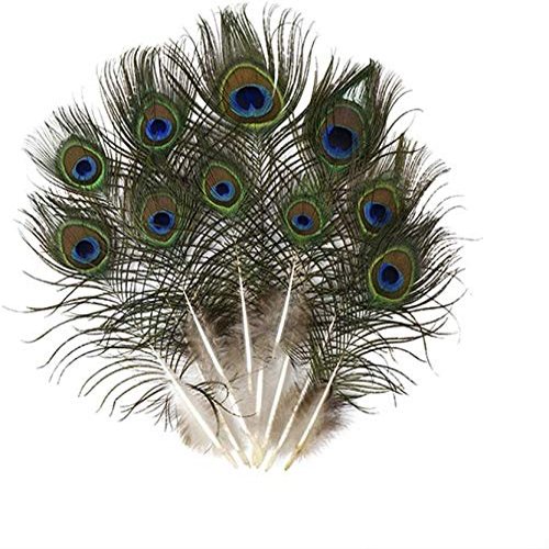 CRAFTWAFT Decorative Peacock Feather (50, Small (10-12 INCH))