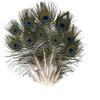 CRAFTWAFT Decorative Peacock Feather (50, Small (10-12 INCH)) view 1