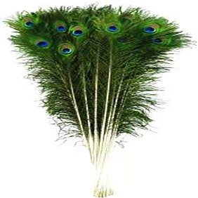 CRAFTWAFT Decorative Peacock Feather (20, X-Large (28-32 INCH))