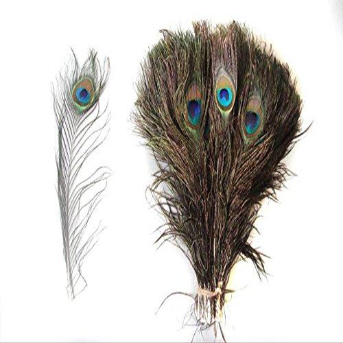 CRAFTWAFT Decorative Peacock Feather (30, Medium (15-18 INCH))