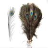 CRAFTWAFT Decorative Peacock Feather (30, Medium (15-18 INCH)) view 1