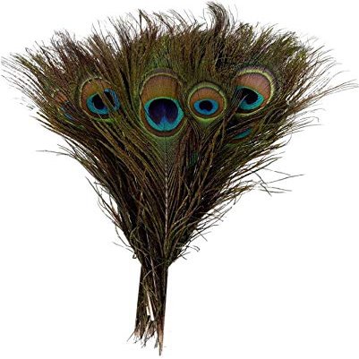 CRAFTWAFT Decorative Peacock Feather (5, Large (20-24 INCH))