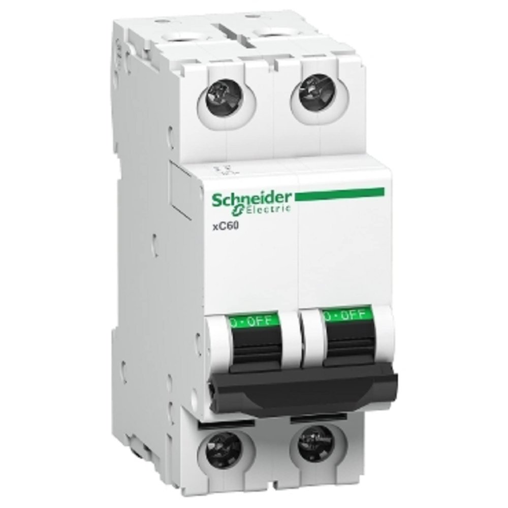 Schneider MCB 6A DP C-Curve ACTI9 10kA Miniature Circuit-Breaker (White) (A9N2P06C)