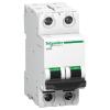 Schneider MCB 6A DP C-Curve ACTI9 10kA Miniature Circuit-Breaker (White) (A9N2P06C) view 1