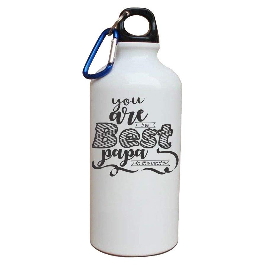 PAPER PLANE DESIGN Aluminium Bottle, 600ml, Set of 1