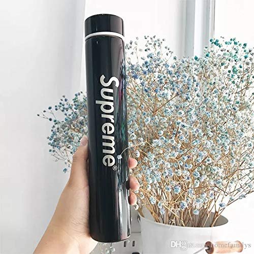 TOTO DEALS Stainless Steel Water Bottle, 260ml, Set of 1, Black