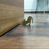 VAH New Cat Design Small Non-Slip Wooden Door Stoppers - to Stop Or Jam The Doors view 4