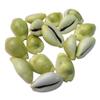 Aapkidukan Natural Yellow Kawdi/Kaudi/Kowdi/Cowrie/Koudi Shells- Set of 11 for Laxmi Pooja view 1