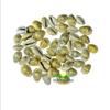 || Himshikhar || Natural LAXMI KAUDI Yellow Set of 11 Pieces for Goddess LAXMI, KAUDI Energized, Auspicious for Lakshmi/LAXMI/Diwali Pooja by GREE World Pooja SAMAGRI view 1
