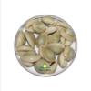 || Himshikhar || Natural LAXMI KAUDI Yellow Set of 11 Pieces for Goddess LAXMI, KAUDI Energized, Auspicious for Lakshmi/LAXMI/Diwali Pooja by GREE World Pooja SAMAGRI view 2