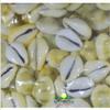 || Himshikhar || Natural LAXMI KAUDI Yellow Set of 11 Pieces for Goddess LAXMI, KAUDI Energized, Auspicious for Lakshmi/LAXMI/Diwali Pooja by GREE World Pooja SAMAGRI view 3