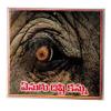 SSKR Elephant Eye Laminated Nazar Battu Wall Hanging Protector from Evil Eye - Set of 2 (10X15 Cms - Pack of 2) view 1