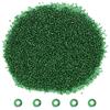 EmbroideryMaterial 10/0 Glass Seed Beads for Jewellery Making, Bracelet Making, Necklace Design, Bead Weaving, DIY Craft, Hand Embroidery & Garment Embellishment  Green Beads (22.5 mm, 100 g) view 1