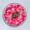 Memoir Ceramic Fengshui Floating Tortoise Good Luck Item Vastu showpiece/Idol for Home Decor (Gold, Yellow) view 3