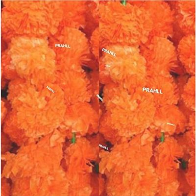 PRAHLL Artificial Marigold Flower Garlands Hanging TORAN for Door and Wall (52inch Length and 30 Flowers in Each) Natural,Fluffy & Rich Look. (Orange, 3)