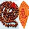 Brij Sugandha Sandalwood Beads Naturally Scented Natural Lal Chandan Ki Mala with Orange Cotton Jaap Bag for Mantra Jaap and Wearing view 1