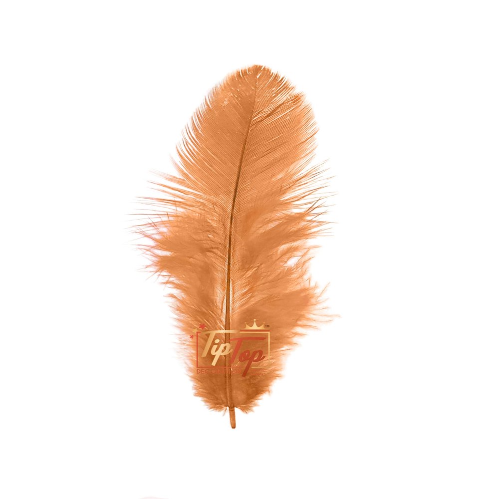 TIPTOP DECORATION Natural Dyed Feathers 10 cm (80 pieces) (Light Brown)
