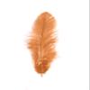 TIPTOP DECORATION Natural Dyed Feathers 10 cm (80 pieces) (Light Brown) view 1