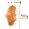TIPTOP DECORATION Natural Dyed Feathers 10 cm (80 pieces) (Light Brown) view 2