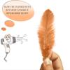 TIPTOP DECORATION Natural Dyed Feathers 10 cm (80 pieces) (Light Brown) view 4
