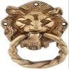 YES I CAN Lion Mouth with Moulded Ring Brass Door Knocker (Antique Brass) view 1