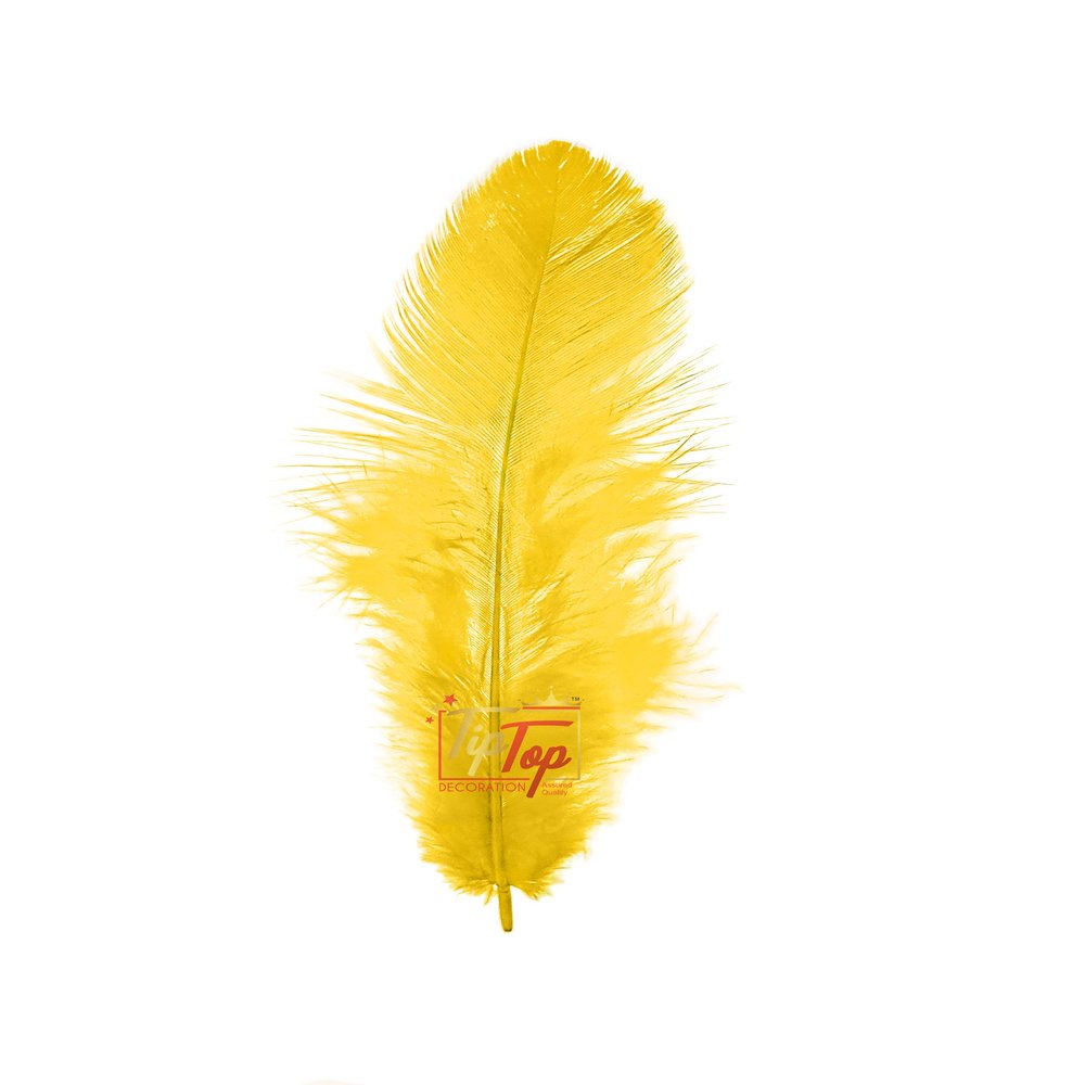 TIPTOP DECORATION Natural Dyed Feathers 10 cm (80 pieces) (Dark Yellow)