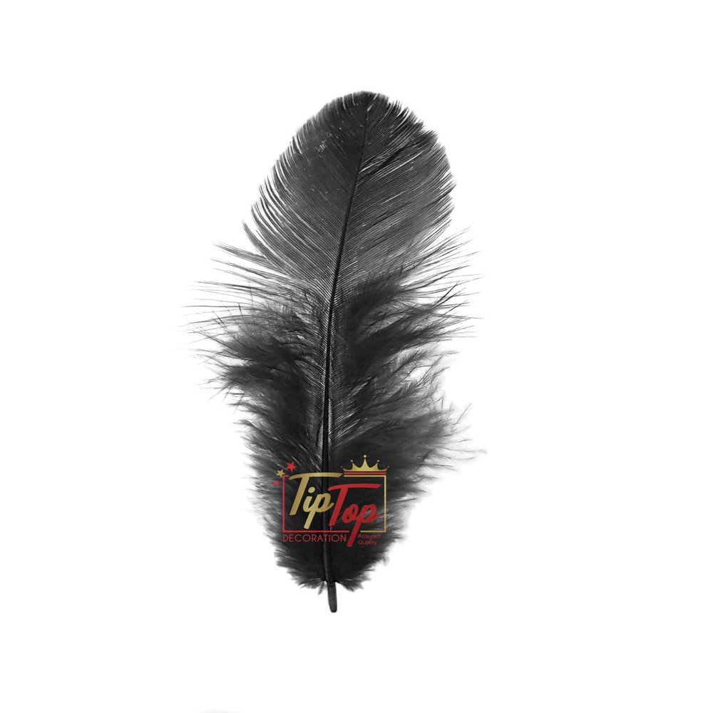 TIPTOP DECORATION Natural Dyed Feathers 10 cm (80 pieces) (Black)