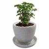 India Meets India Ceramic Flower Vase (4 inch, White) view 2