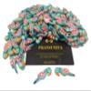 PRANSUNITA Wooden Parrot Beads (3.5 cm) Used for Art and Crafts, Dresses, Beading, Pendant Jewelry Making, DIY Crafts & School Project etc Pack of 50 - Color -Blue view 1