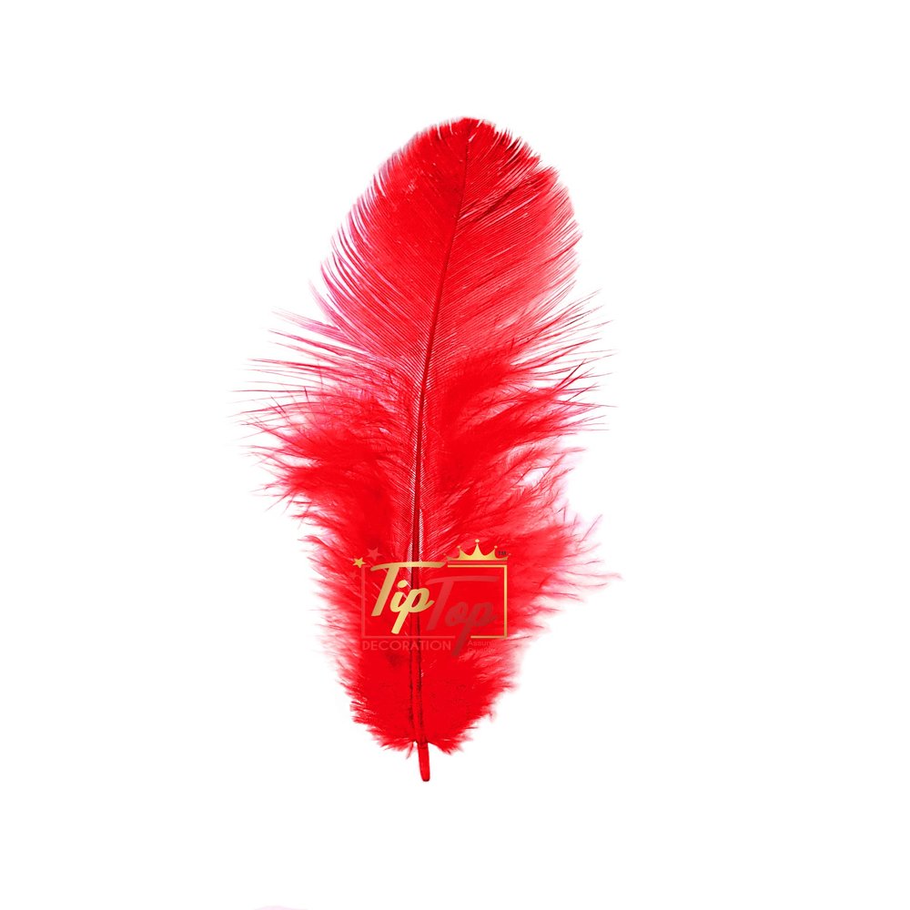 TIPTOP DECORATION Natural Dyed Feathers 10 cm (80 pieces) (Dark Red)