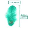TIPTOP DECORATION Natural Dyed Feathers 10 cm (80 pieces) (Turquoise) view 2