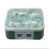 Param Abs Plastic Folding Lunch Box For Kids And Adults, Leak Proof Lunch Containers With 3 Compartments (Green), 120 milliliter view 1