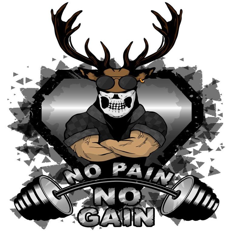 5 Ace no Pain no gain Motivational Poster|Inspirational Poster|Gym Poster|All Time Posters|Poster About Life|Poster for Every Room;Office; Gym|Self Adesive Sticker Poster(Size:12x18 inch) sticker paper poster(size:12x18 inch) multicolor