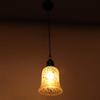 Somil LED Compitable Designer Pendent Hanging Ceiling Lamp Light with Black Cord, Glass, Round, Home, Office, with All Fixture view 2
