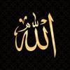 5 Ace allah black and golden|islamic poster|religious poster|quran verses wall sticker paper poster(size:12x18 inch),multicolor view 1