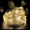 fizzytech 30 LED 3 Meter Copper String Lights  Warm White Fairy Lights for Diwali, Christmas, Home & Party Decoration  Decorative Lighting for Indoor/Outdoor Use (Warm White Pack of 2) view 4