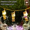 fizzytech 20 LED Normal Clip String Lights Warm White  Decorative Hanging Fairy Lights for Home, Bedroom & Parties (20 Led Normal Clip WW, Pack of 1) view 2