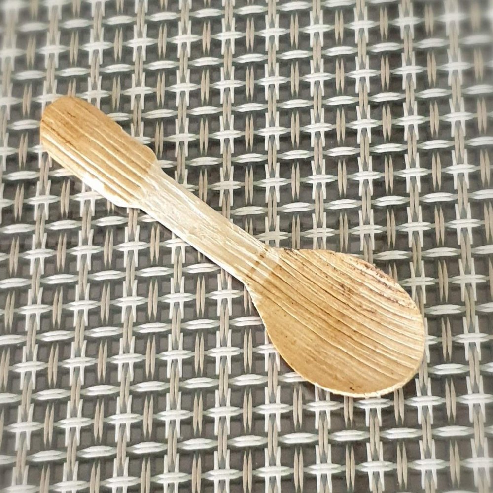 Vissage 100% Biodegradable Premium Areca Leaf Disposable Ice Cream Spoons : Pack of 50