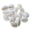 Suninow Natural White Kawdi/Kaudi/Kowdi/Cowrie/Koudi Shells- for Laxmi Pooja | Diwali Pooja | Deepawali Pooja (11) view 1
