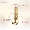 Plus Value Feng Shui Vastu Chinese 3 Bell 6 Coins Small Remedies for Home Office Main Entrance Door Hanging Positivity, Good Luck view 3