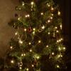 LTETTES 10 Meter 100 Led USB Powered Waterproof Copper Wire Warm White Led Fairy String Lights for Home Bedroom Decorations Lights. Wedding, Diwali, Christmas Tree Lights view 2